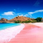 Kecantikan Pantai Pink dari Lombok Timur