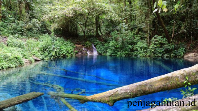 Danau Kaco: Permata Biru di Jantung Kerinci