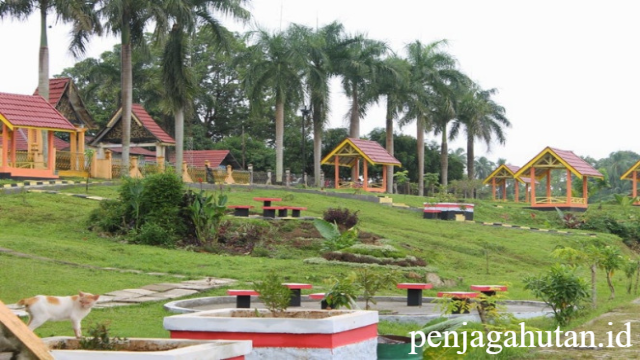 Keindahan Taman Tanggo Rajo: Ikon Wisata Sungai Batanghari