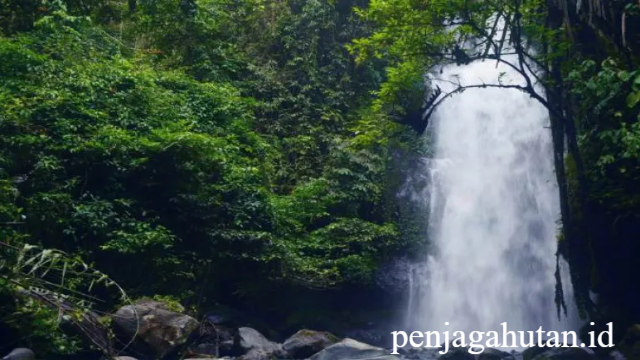 Air Terjun Batu Layang: Surga Tersembunyi di Tanah Rafflesia