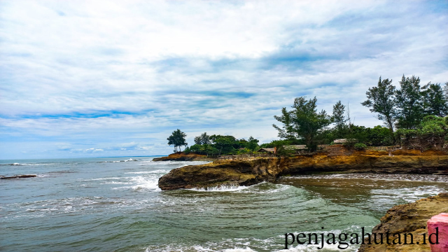 Pantai Sungai Suci: Surga Bahari Bengkulu